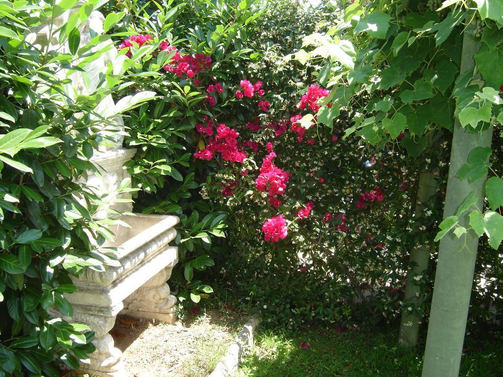 B&B Villa Fantasia Geata Exterior foto